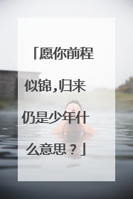 愿你前程似锦,归来仍是少年什么意思?