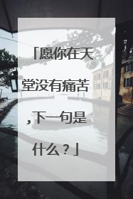 愿你在天堂没有痛苦,下一句是什么?