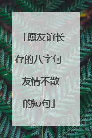 愿友谊长存的八字句 友情不散的短句
