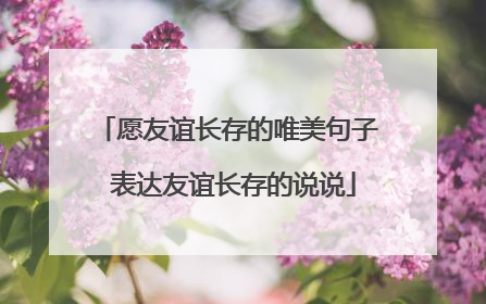 愿友谊长存的唯美句子 表达友谊长存的说说
