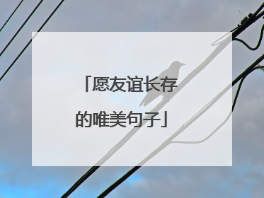 愿友谊长存的唯美句子