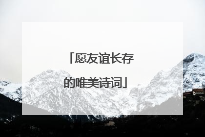 愿友谊长存的唯美诗词