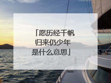 愿历经千帆 归来仍少年是什么意思