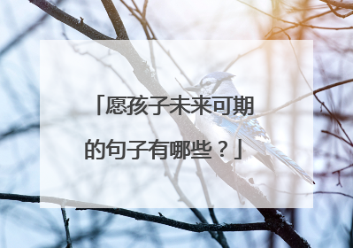 愿孩子未来可期的句子有哪些？