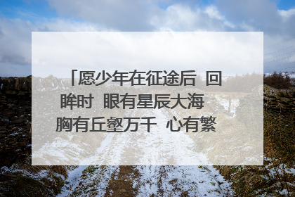 愿少年在征途后 回眸时 眼有星辰大海 胸有丘壑万千 心有繁花似锦,是什么意思