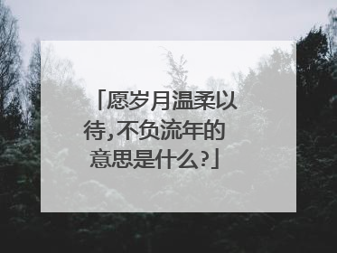 愿岁月温柔以待,不负流年的意思是什么?