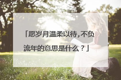 愿岁月温柔以待,不负流年的意思是什么？
