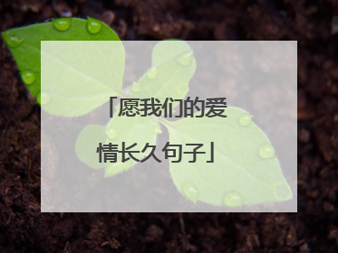 愿我们的爱情长久句子