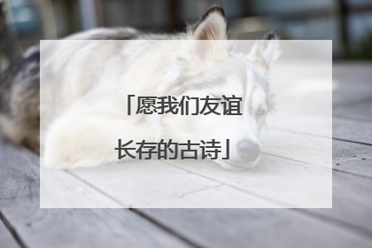 愿我们友谊长存的古诗