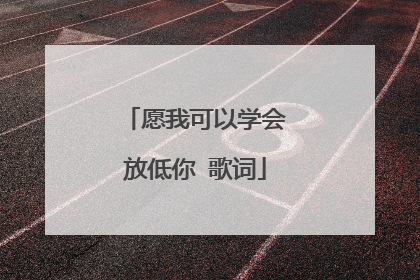 愿我可以学会放低你 歌词