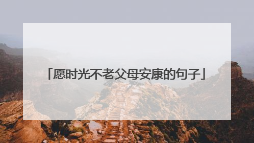 愿时光不老父母安康的句子