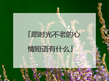 愿时光不老的心情短语有什么