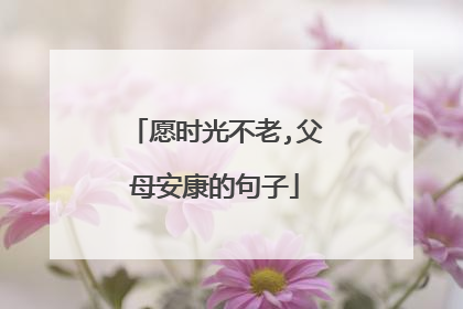 愿时光不老,父母安康的句子