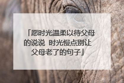 愿时光温柔以待父母的说说 时光慢点别让父母老了的句子