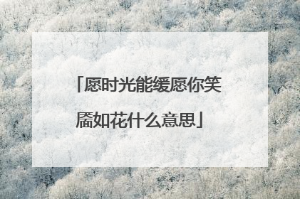 愿时光能缓愿你笑靥如花什么意思