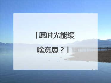 愿时光能缓 啥意思?