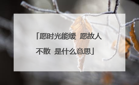 愿时光能缓 愿故人不散 是什么意思