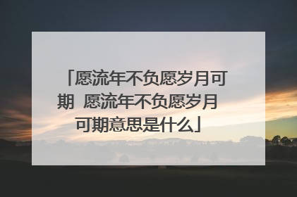 愿流年不负愿岁月可期 愿流年不负愿岁月可期意思是什么