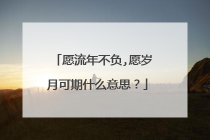 愿流年不负,愿岁月可期什么意思?