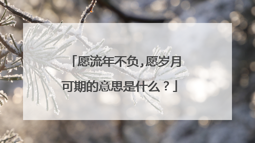 愿流年不负,愿岁月可期的意思是什么？