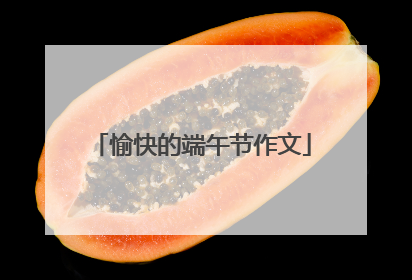 愉快的端午节作文