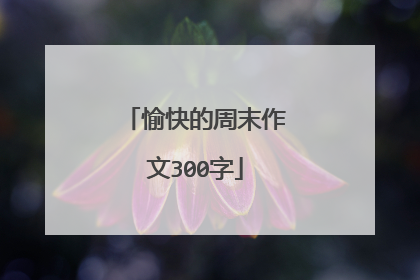 愉快的周末作文300字