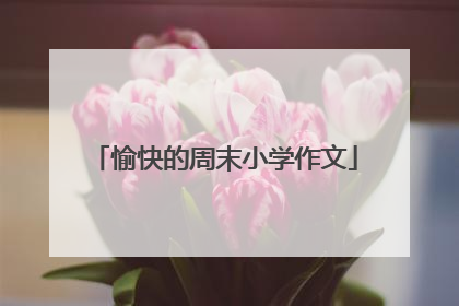 愉快的周末小学作文