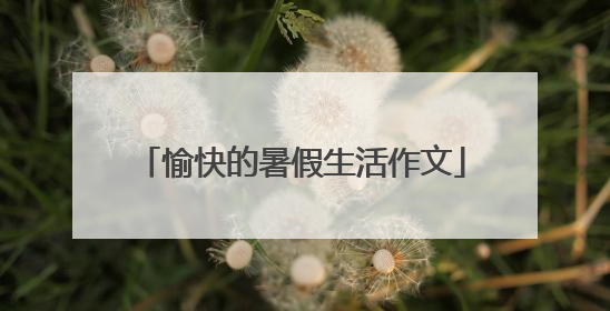 愉快的暑假生活作文