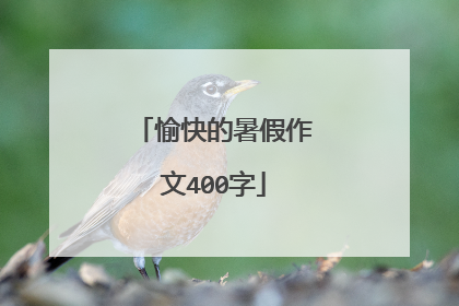 愉快的暑假作文400字
