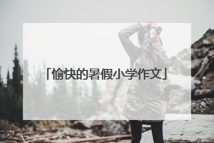 愉快的暑假小学作文