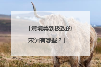 意境美到极致的宋词有哪些？