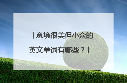 意境很美但小众的英文单词有哪些？