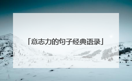 意志力的句子经典语录