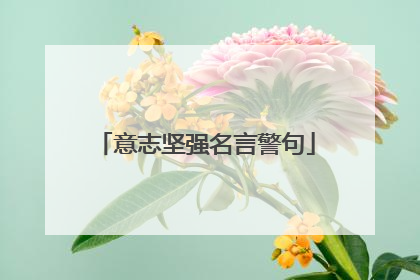 意志坚强名言警句