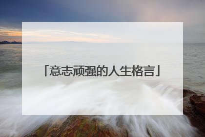 意志顽强的人生格言