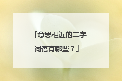 意思相近的二字词语有哪些？