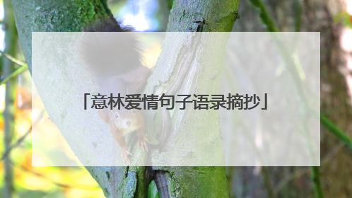 意林爱情句子语录摘抄