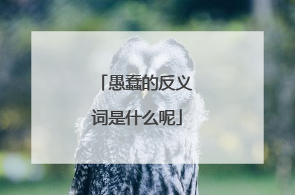 愚蠢的反义词是什么呢