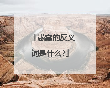 愚蠢的反义词是什么?