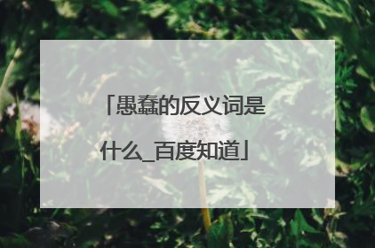 愚蠢的反义词是什么_百度知道