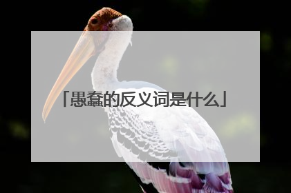 愚蠢的反义词是什么