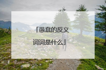 愚蠢的反义词词是什么