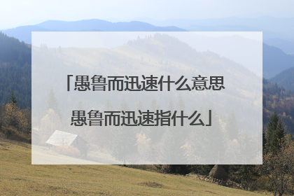 愚鲁而迅速什么意思 愚鲁而迅速指什么