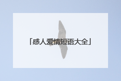 感人爱情短语大全