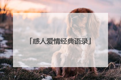 感人爱情经典语录
