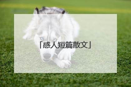 感人短篇散文