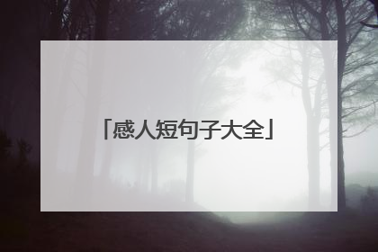 感人短句子大全