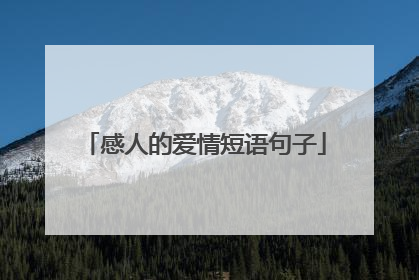 感人的爱情短语句子
