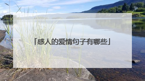 感人的爱情句子有哪些