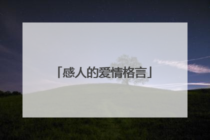 感人的爱情格言
